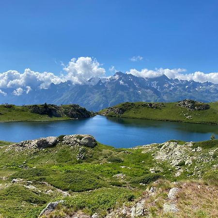 Chalet La Perle De L'Oisans - Appartements D'Exception Vaujany Dış mekan fotoğraf